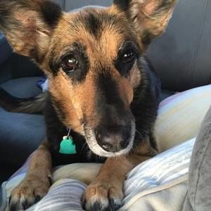 Meet your Posher, Dawne